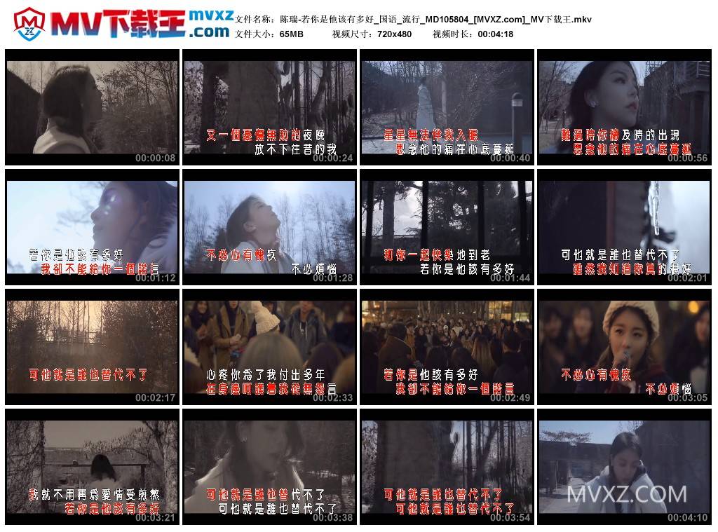 陈瑞-若你是他该有多好_国语_流行_MD105804